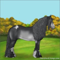 Horse Color:Brown Chinchilla Sabino Varnish