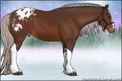 Horse Color:White Spotted Silver Brown Tobiano Varnish Rabicano 