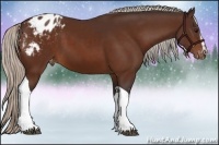Horse Color:White Spotted Silver Brown Tobiano Varnish Rabicano 
