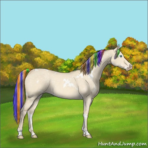 Horse Color:Painted White Spotted Perlino Dun