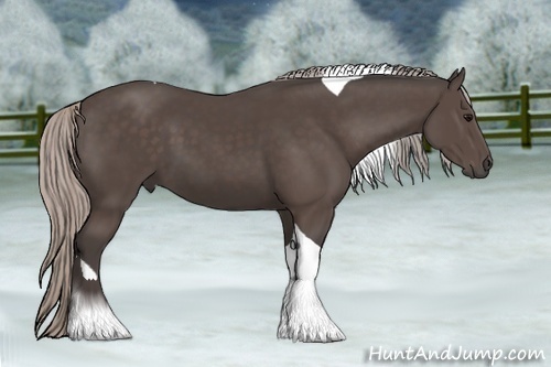 Horse Color:Silver Black Tobiano 