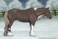 Horse Color:Silver Black Tobiano 