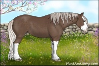 Horse Color:Silver Black Splash