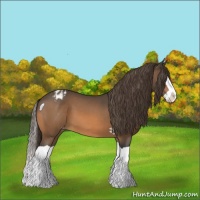 Horse Color:Buckskin Snowdrop Splash Snowflake Varnish