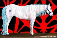 Horse Color:Watercolor Brown Ice 