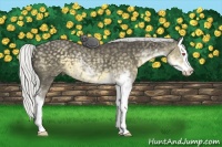 Horse Color:Silver Smoky Black Chinchilla Sabino Splash