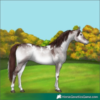 Horse Color:Gray Platinum White Spotted Chocolate Brown Onyx