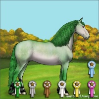 Horse Color:Watercolor Brown Chinchilla Dun 