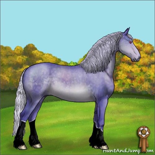 Horse Color:Watercolor Silver Brown Chinchilla