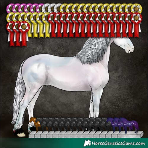 Horse Color:ERROR: UNKNOWN ANOMALY