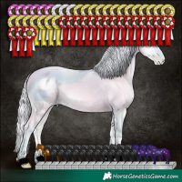 Horse Color:ERROR: UNKNOWN ANOMALY