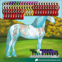 Horse Color:Thunderstruck Liver Chestnut Ice Pearl Sabino Tobiano 