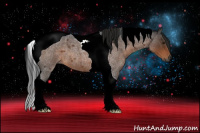 Horse Color:Gray Bay Roan Tobiano 