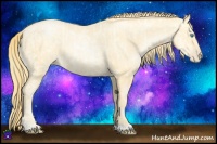 Horse Color:Buckskin Roan Pearl and Buckskin Roan Pearl