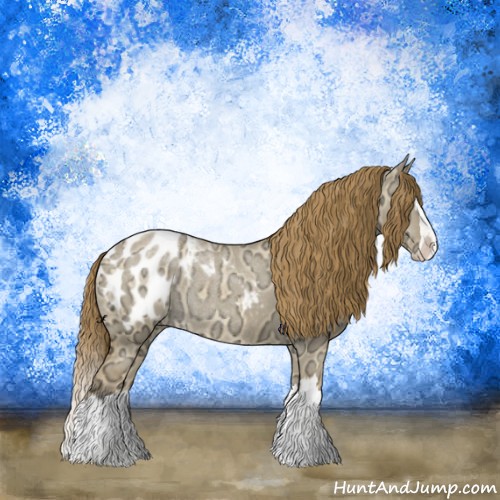 Horse Color:Buckskin Ice Dun Sabino Splash Blanket 
