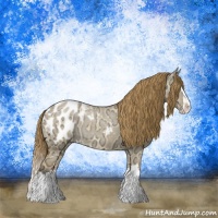 Horse Color:Buckskin Ice Dun Sabino Splash Blanket 