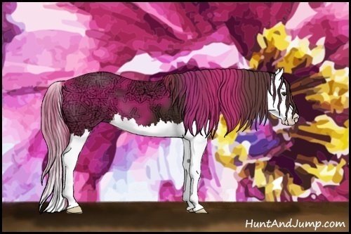 Horse Color:Liver Chestnut Ice Splash 