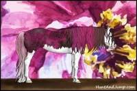 Horse Color:Liver Chestnut Ice Splash 