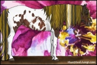 Horse Color:Painted Brown Tobiano Blanket Rabicano