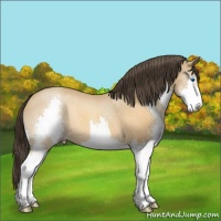 Horse Color:Sable Champagne Splash 