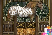 Horse Color:Brown Ice Snowdrop Pearl Near Leopard