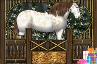 Horse Color:Sable Champagne Onyx Splash Appaloosa