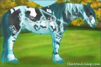 Horse Color:Thunderstruck White Spotted Black Tobiano 