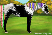 Horse Color:Gray Painted White Spotted Chocolate Palomino Dun Rabicano