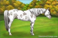 Horse Color:Liver Chestnut Ice Splash Tobiano Varnish Rabicano 