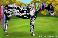 Horse Color:Gray Painted Liver Chestnut Sabino Rabicano