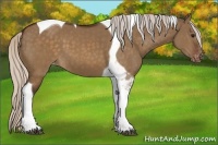 Horse Color:Silver Brown Dun Tobiano Varnish 