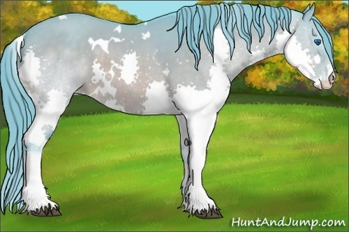 Horse Color:Watercolor White Spotted Brown Dun Splash Appaloosa