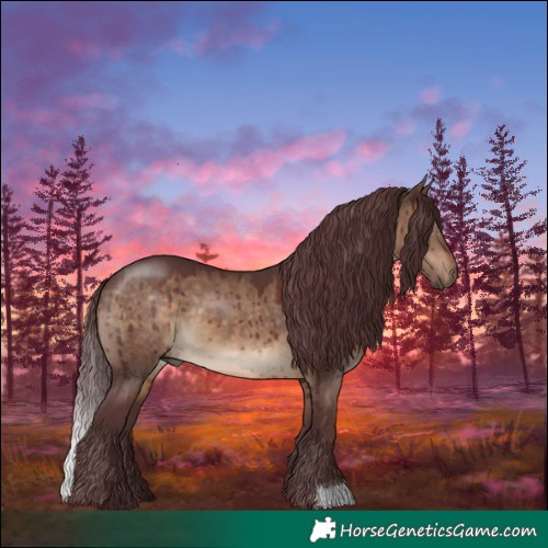 Horse Color:Chocolate Brown Dun Brindle