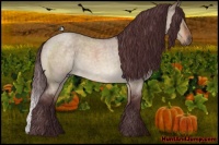Horse Color:Chocolate Brown Roan Dun