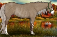 Horse Color:Silver Grullo Sabino Frame Rabicano 