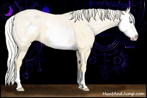 Horse Color:Cremello Roan Splash  and Cremello Roan Splash Frame 