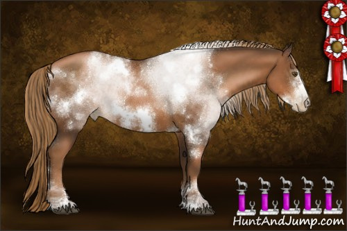 Horse Color:Gray White Spotted Liver Chestnut Pearl Sabino Frame 