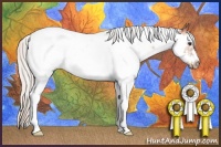 Horse Color:Silver Bay Sabino Frame Rabicano