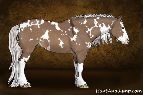 Horse Color:White Spotted Silver Brown Dun Sabino Splash 