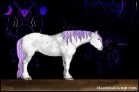 Horse Color:Painted White Spotted Silver Grullo Chinchilla Ice Sabino Splash Varnish Rabicano 