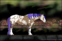 Horse Color:Painted White Spotted Liver Red Dun Ice Splash Appaloosa Rabicano 
