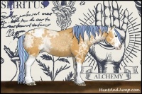 Horse Color:Painted Silver Buckskin Ice Sabino Splash Varnish Rabicano