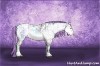 Horse Color:Painted White Spotted Silver Brown Chinchilla Ice Sabino Rabicano