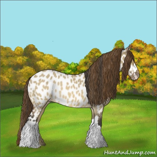 Horse Color:Brown Dun Near Leopard 