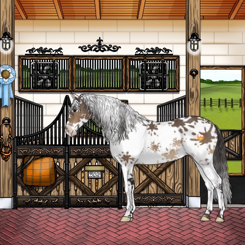 Horse Color:Buckskin Sabino Rabicano 