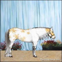 Horse Color:White Spotted Buckskin Splash Frame Rabicano