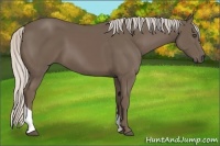 Horse Color:Silver Black Tobiano 