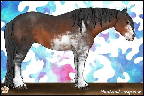 Horse Color:Brown Sabino