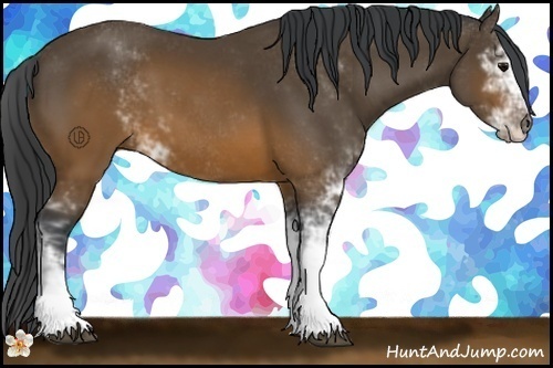 Horse Color:Brown Sabino