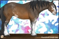 Horse Color:Brown Sabino 